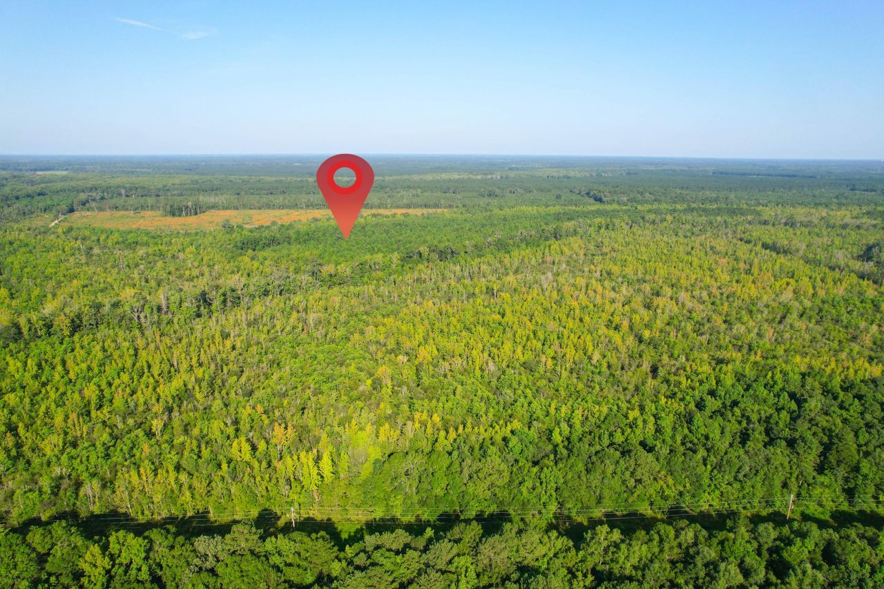 0 Featherbed Road Photo 38