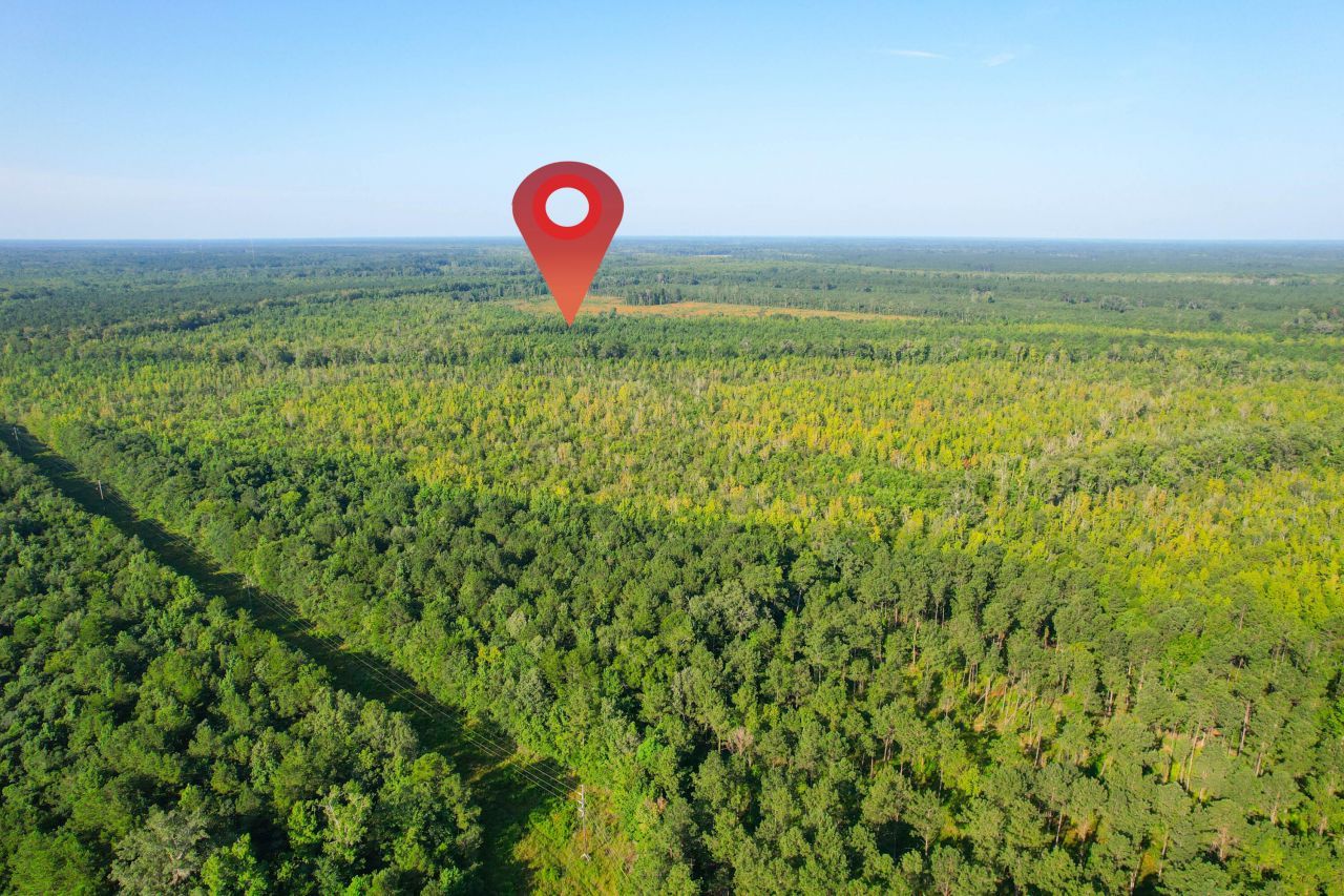 0 Featherbed Road Photo 39