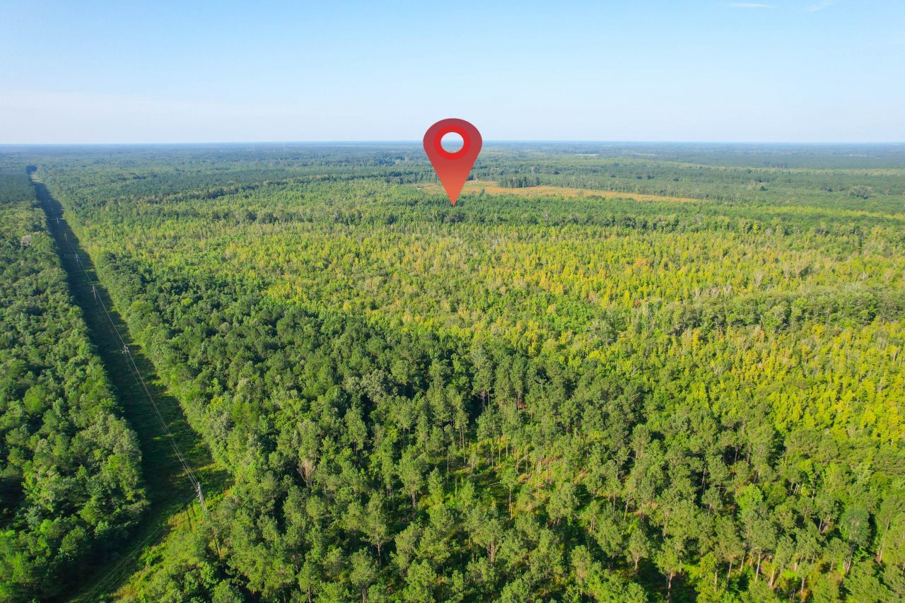 0 Featherbed Road Photo 40