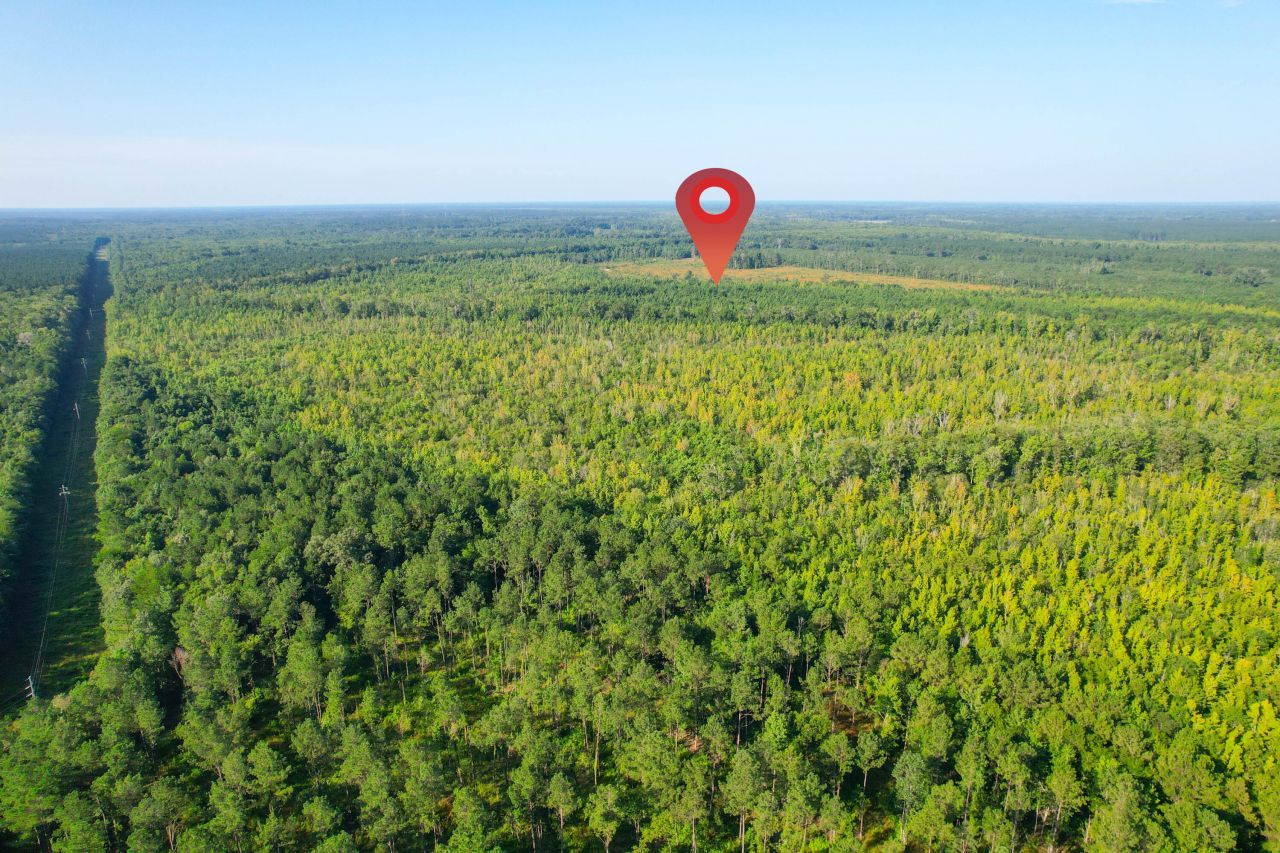 0 Featherbed Road Photo 42