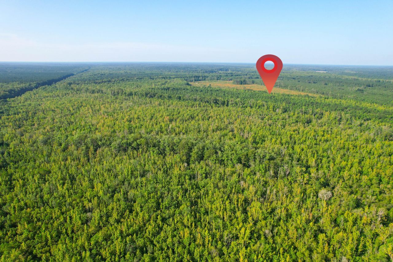 0 Featherbed Road Photo 43