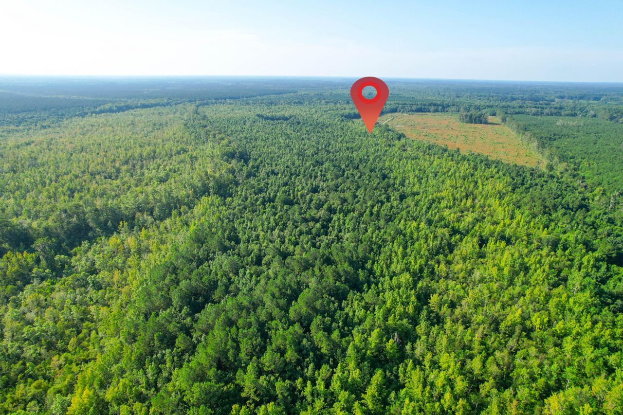 0 Featherbed Road Photo 44