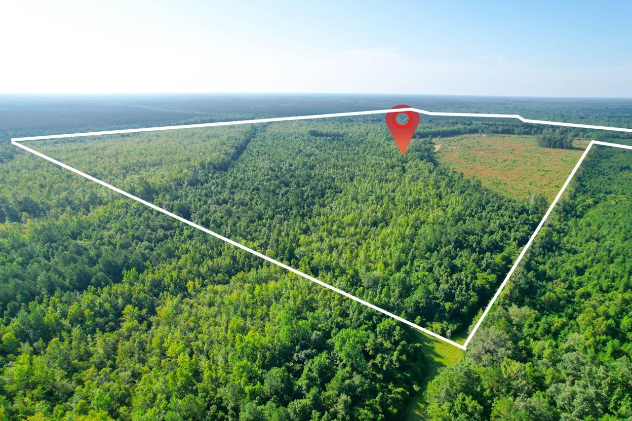 0 Featherbed Road Photo 5