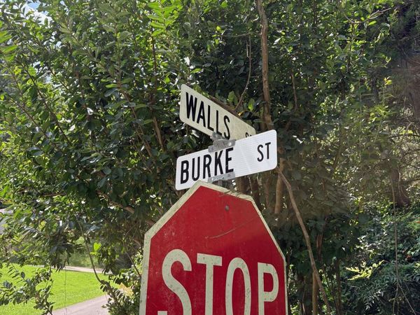 Lot 10 Walls Street, Guntersville, AL 36976