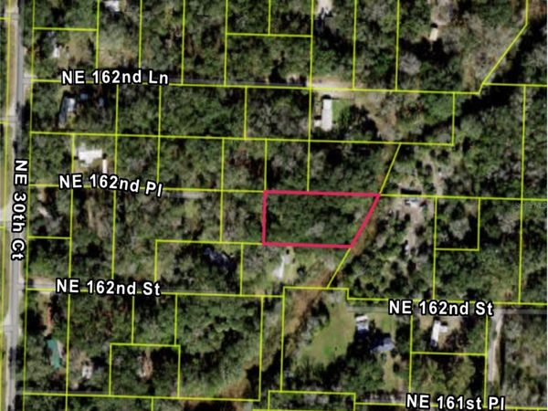 3198 NE 162ND PLACE, CITRA, FL 32113