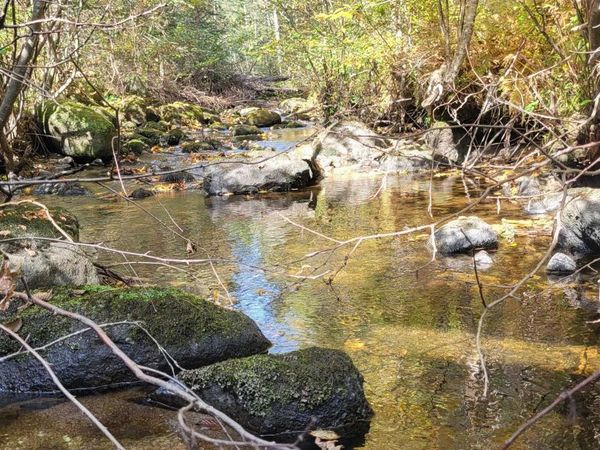 0 Thomas West Road, Lunenburg, VT 05906