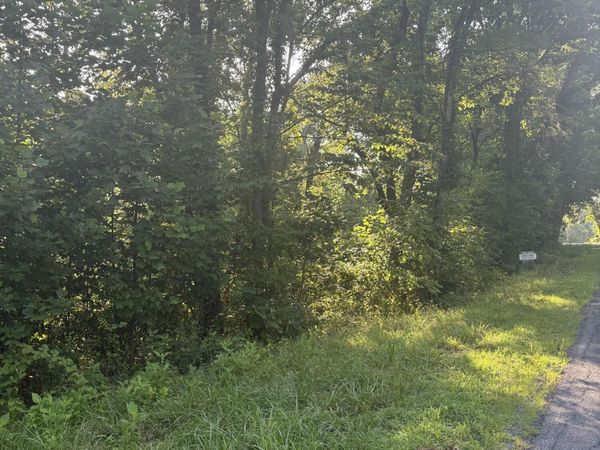 0 Oak Ridge RD, Buchanan, VA 24066