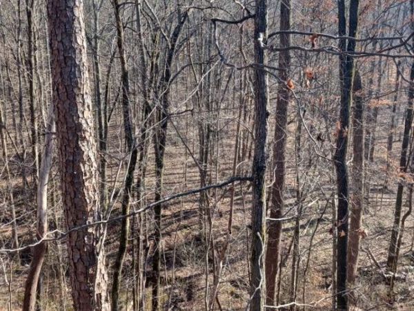 311 Roberts Mill Road, Hixson, TN 37343