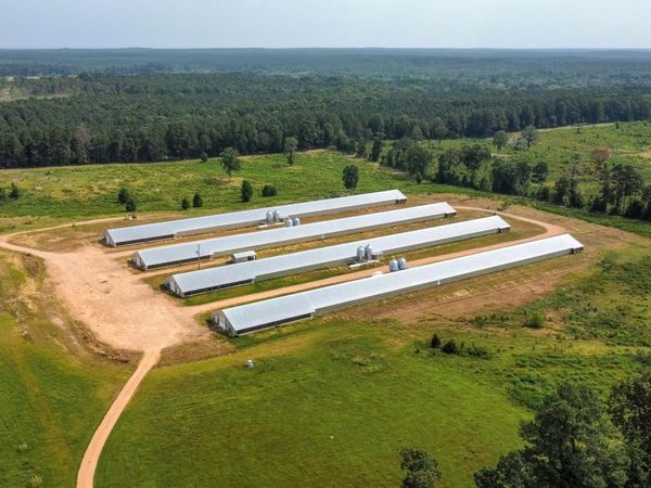 317 N 195 Highway, Hope, AR 71801