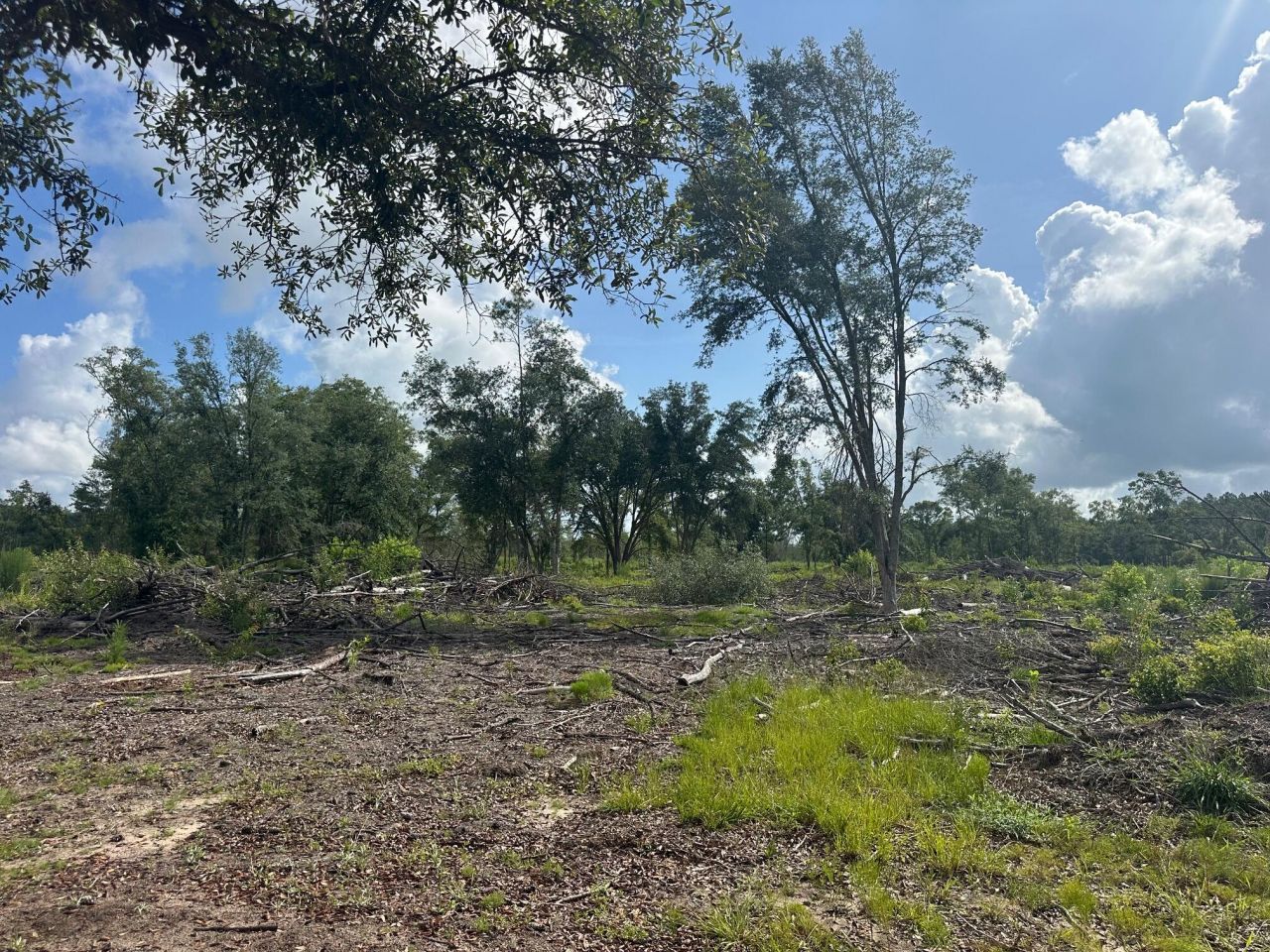 0 Utsey Hill Road Photo 2