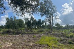 0 Utsey Hill Road photo 4