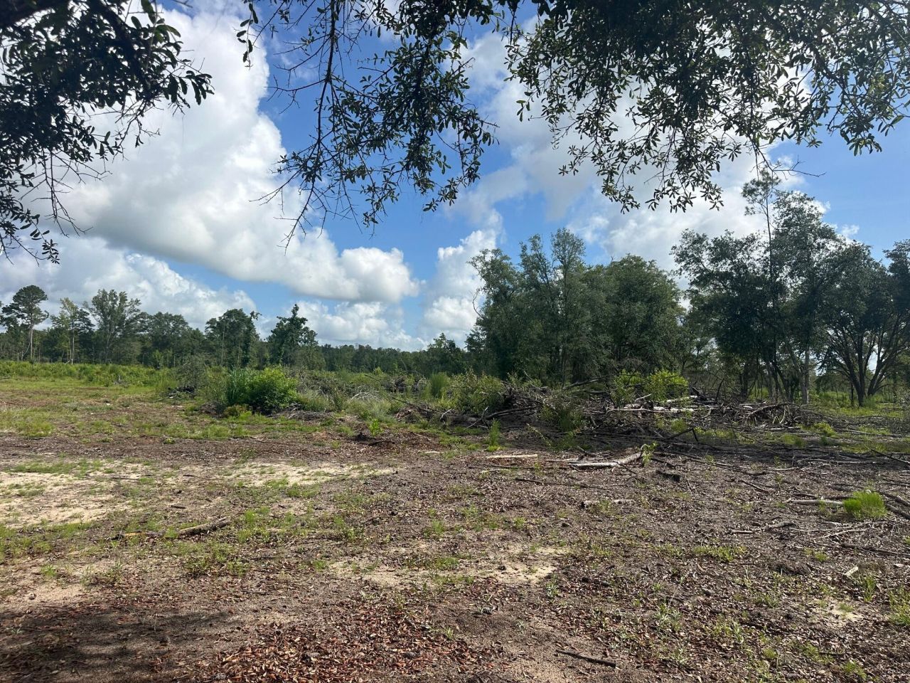 0 Utsey Hill Road Photo 3