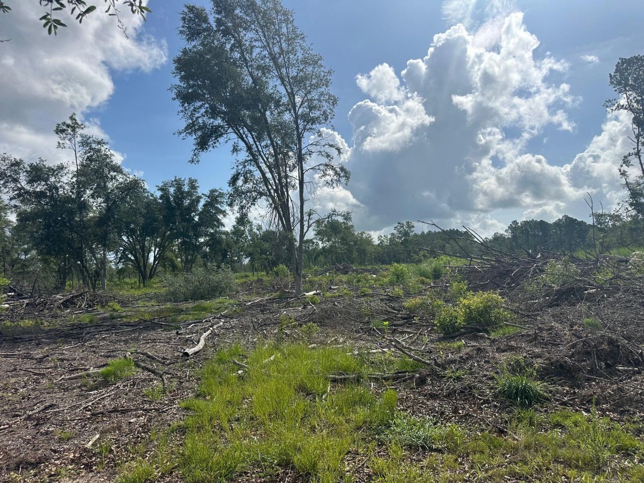 0 Utsey Hill Road Photo 6