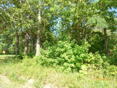 0 Big Woods Road, Pineville, SC 29468