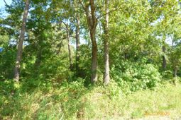 0 Big Woods Road photo 4