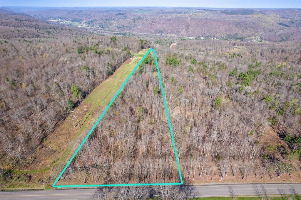 Breed Hollow Road, Horseheads, NY 14902 Main Photo