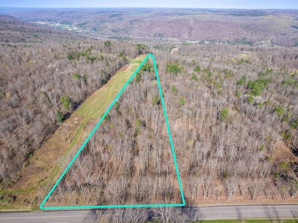 Breed Hollow Road, Horseheads, NY 14902