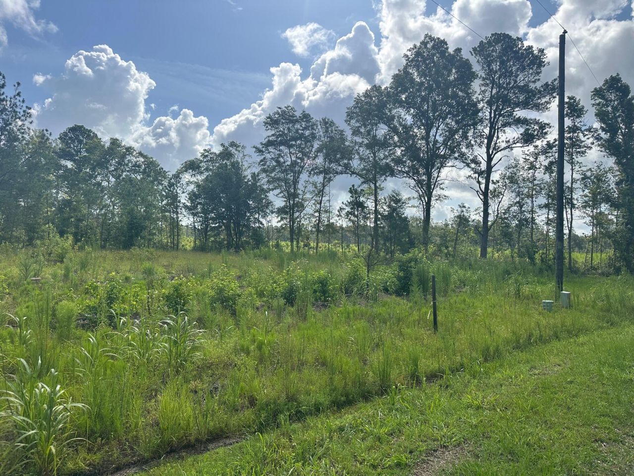 01 Utsey Hill Road Photo 10