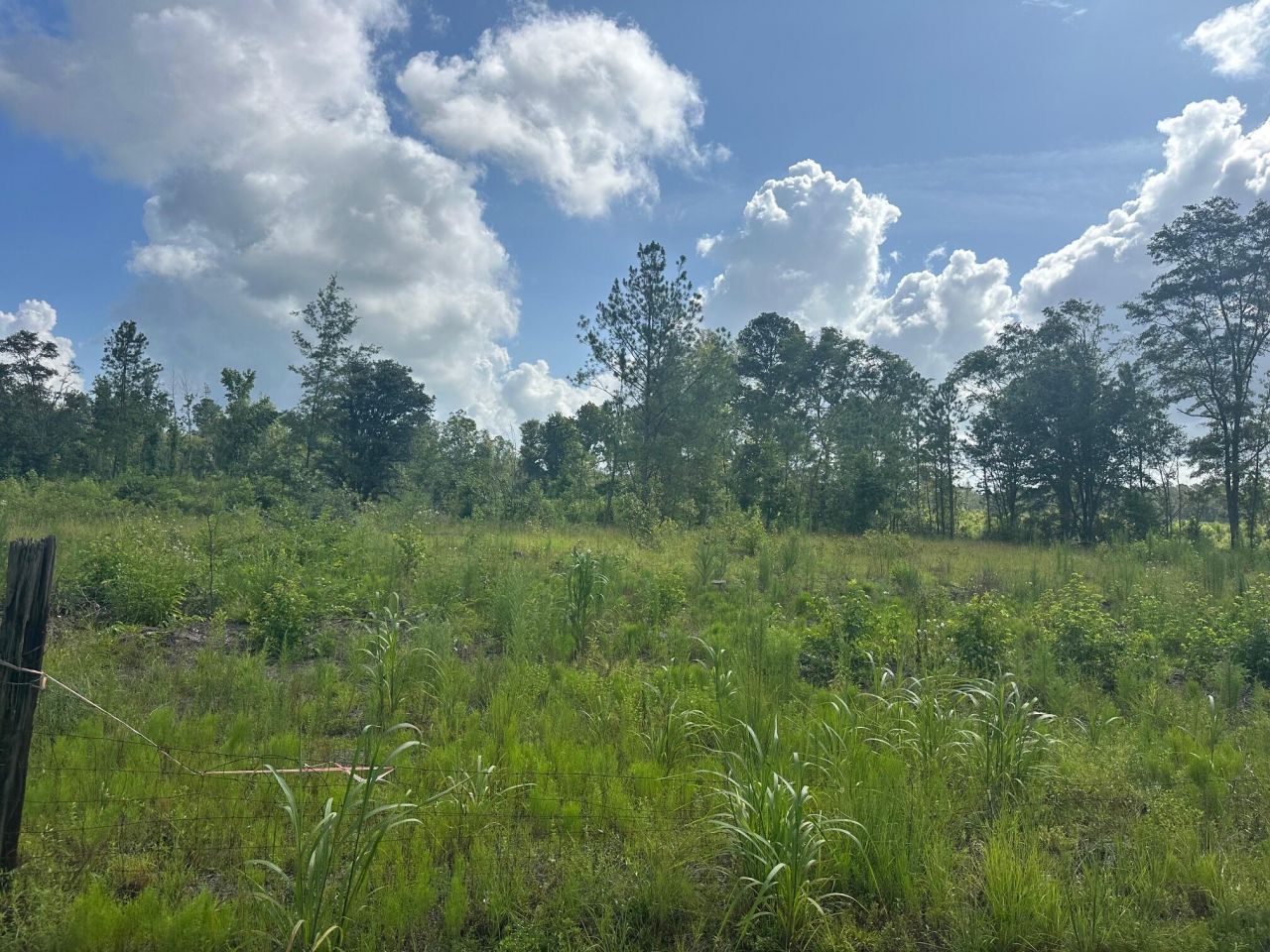 01 Utsey Hill Road Photo 11