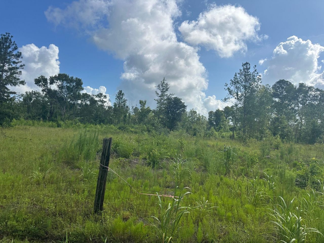 01 Utsey Hill Road Photo 12