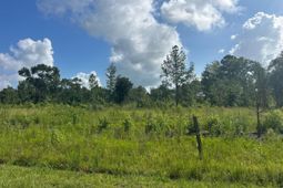 01 Utsey Hill Road photo 4