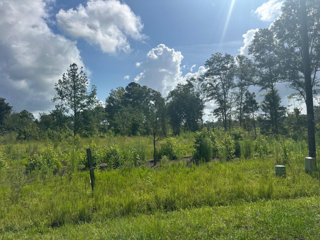 01 Utsey Hill Road Photo 6