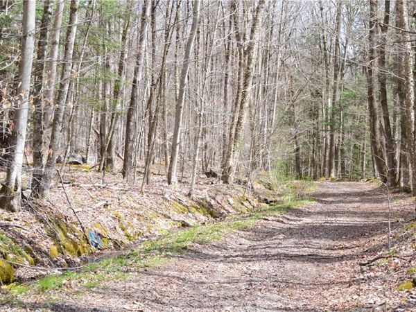 Lots 11 & 12 Carpino Road, Andes, NY 13731