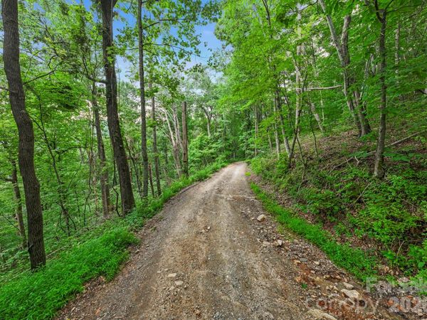 99999 Little Pisgah Road, Gerton, NC 28735