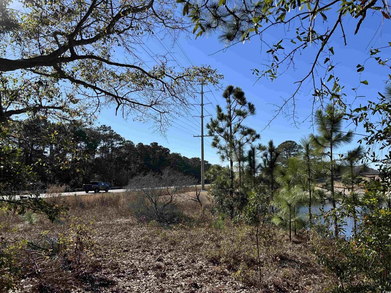 8000 Ocean Highway Photo 14