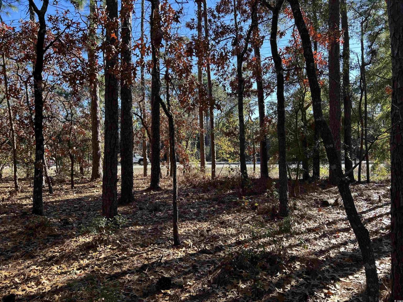 8000 Ocean Highway Photo 15