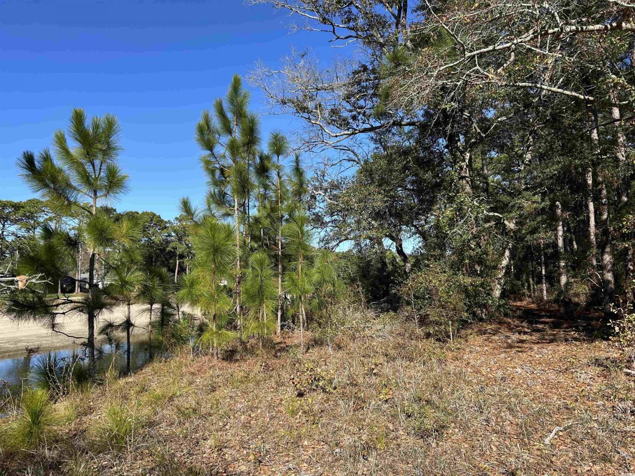 8000 Ocean Highway Photo 16