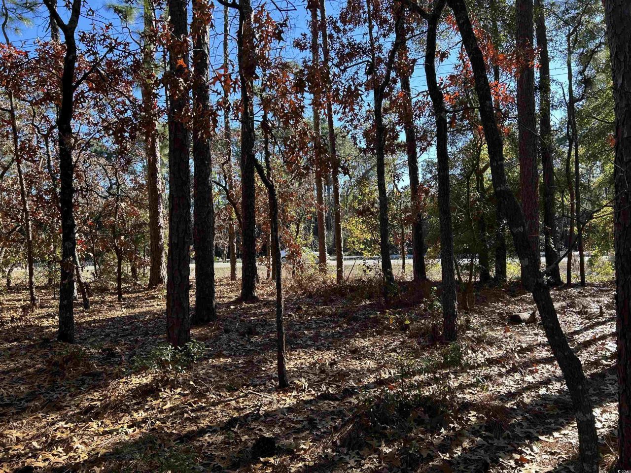 8000 Ocean Highway Photo 17