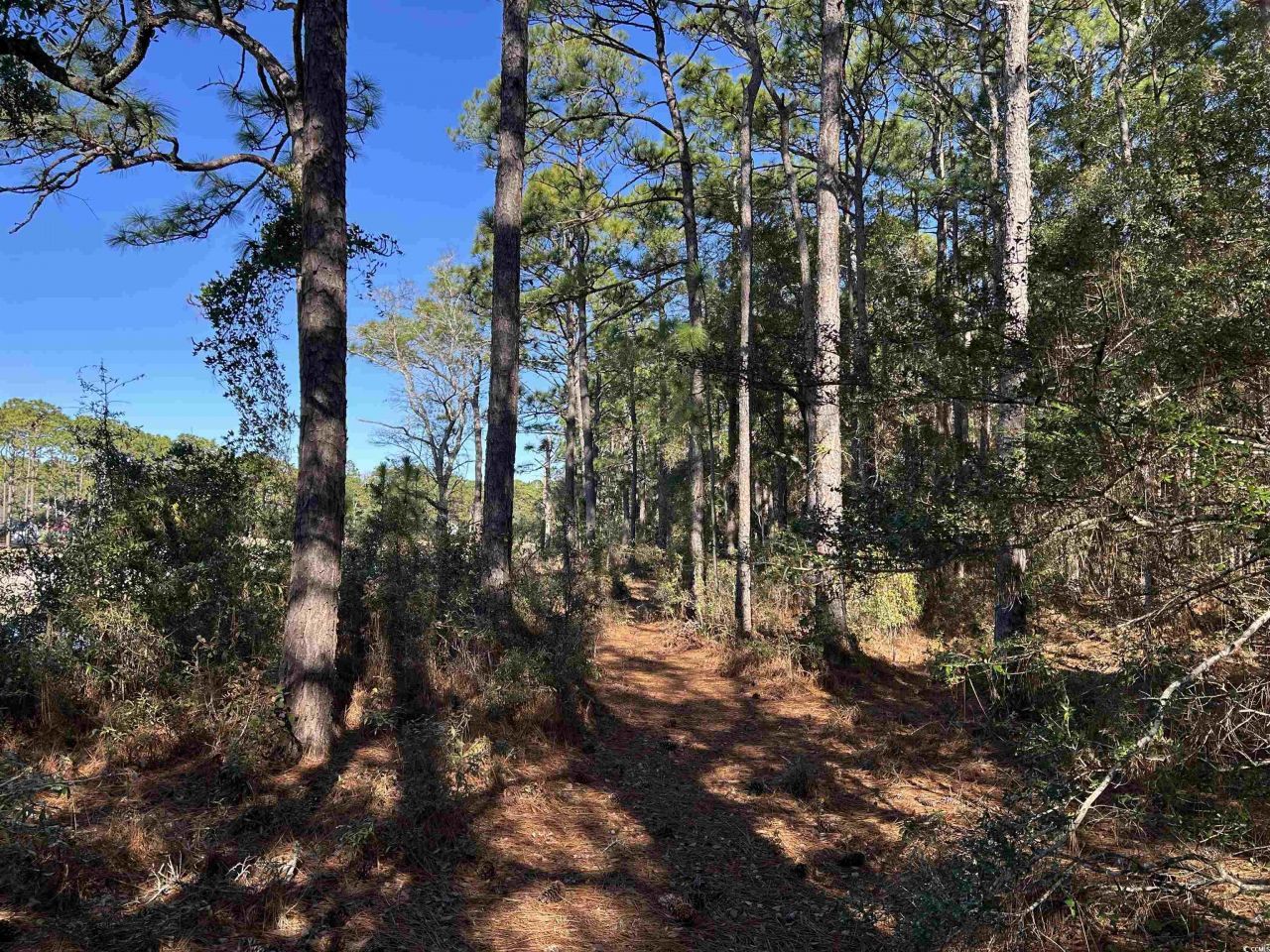 8000 Ocean Highway Photo 18