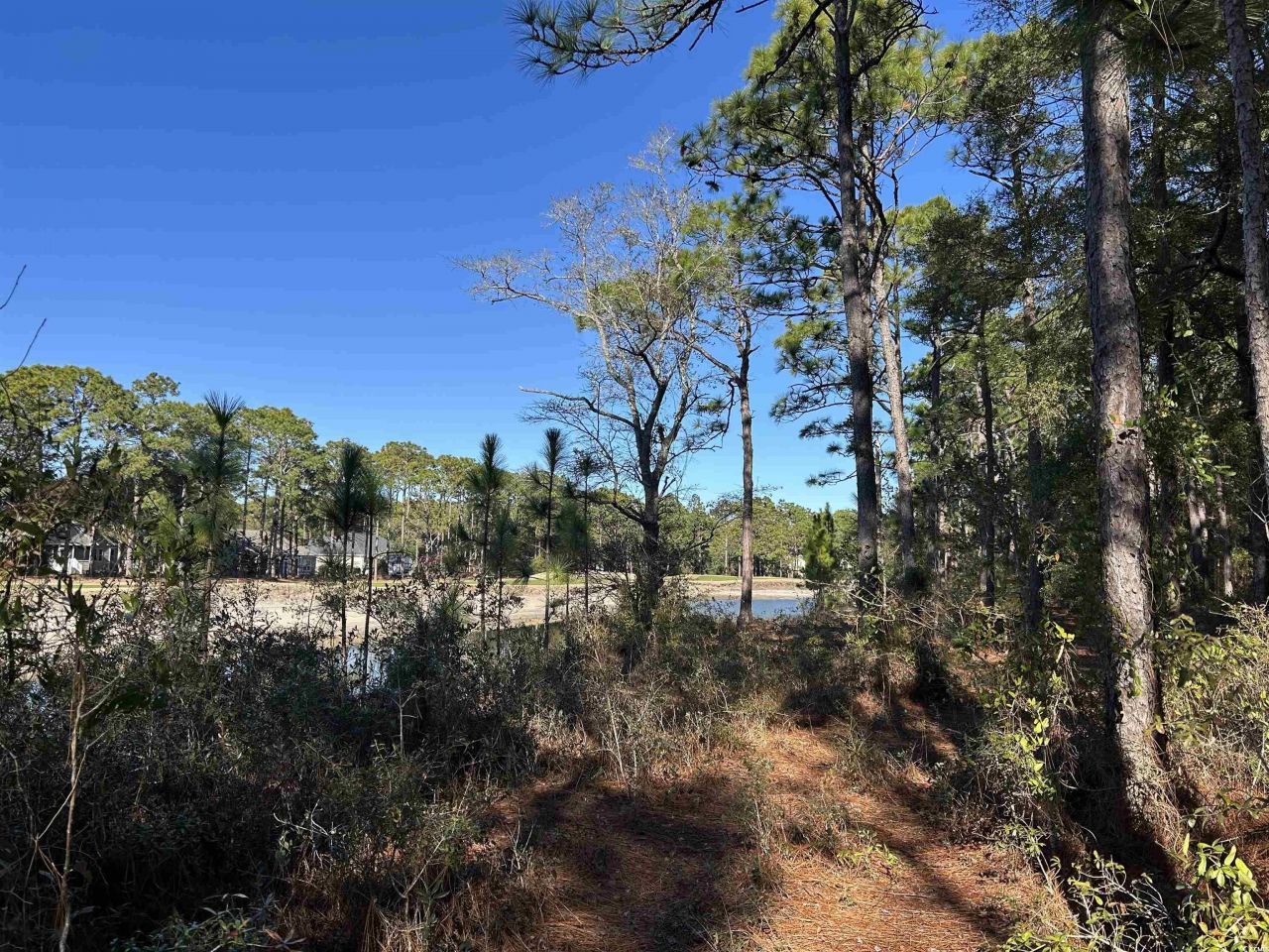 8000 Ocean Highway Photo 19