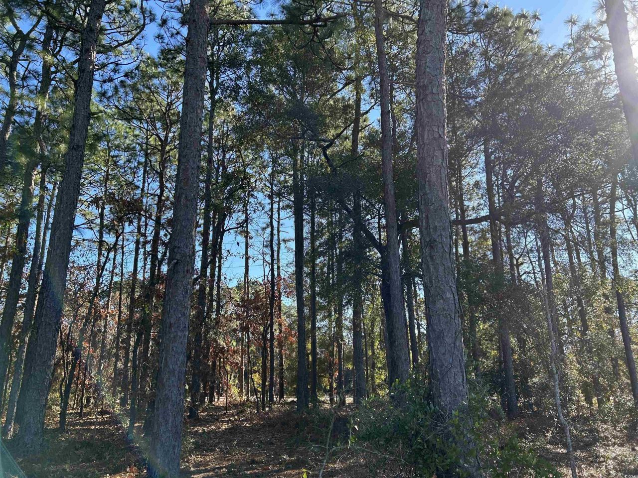 8000 Ocean Highway Photo 22