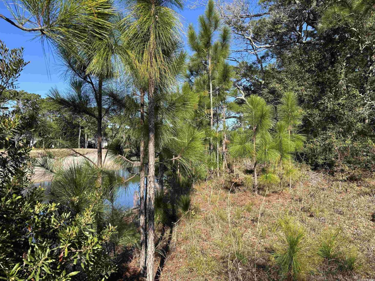 8000 Ocean Highway Photo 23