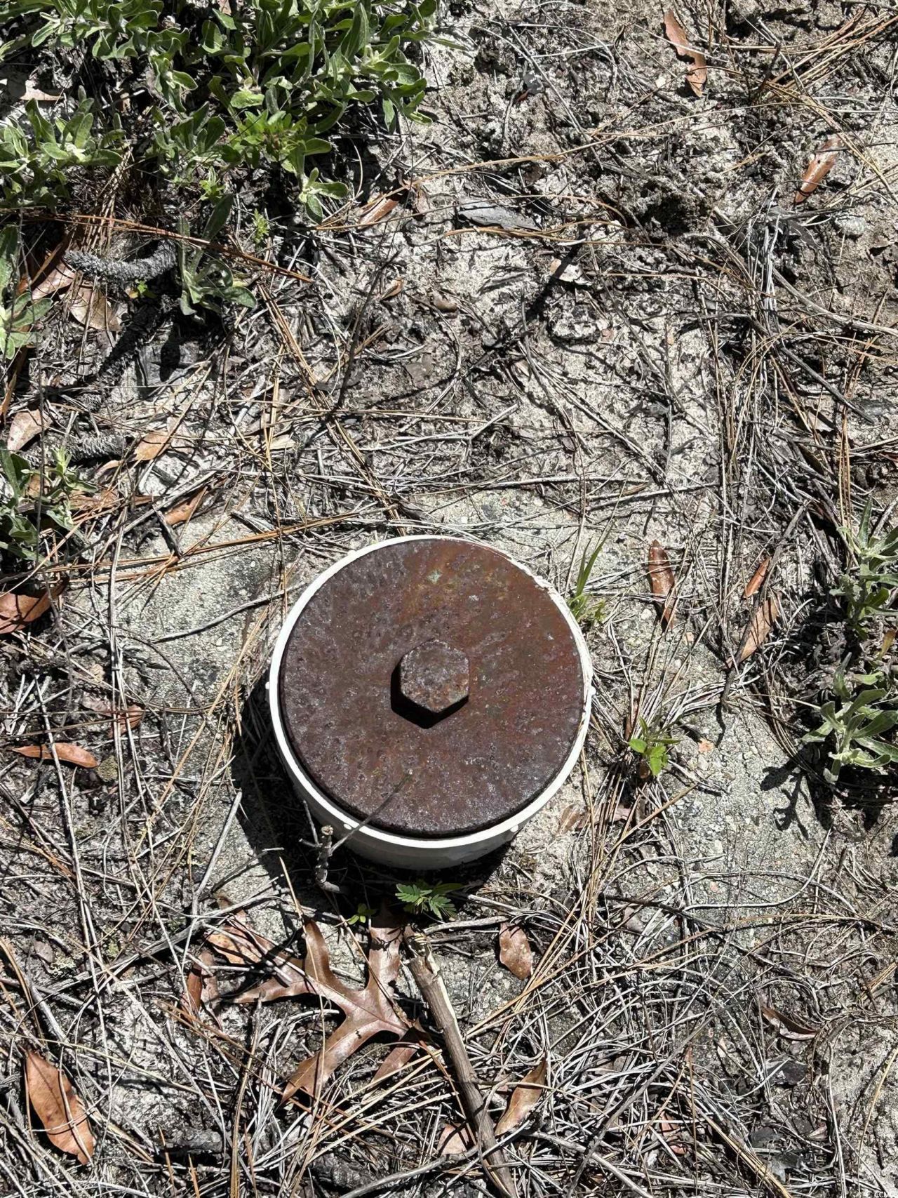 8000 Ocean Highway Photo 29