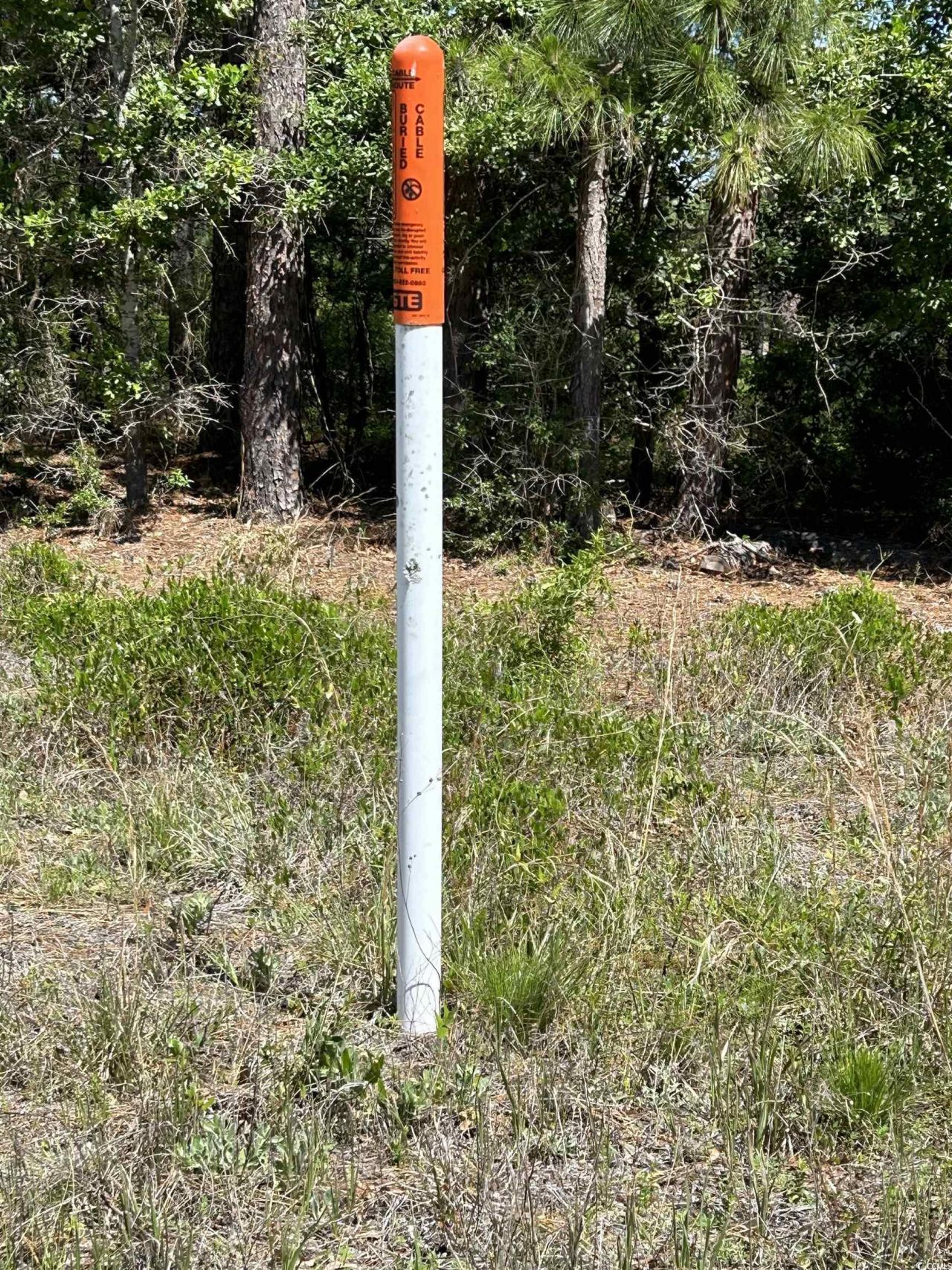 8000 Ocean Highway Photo 30