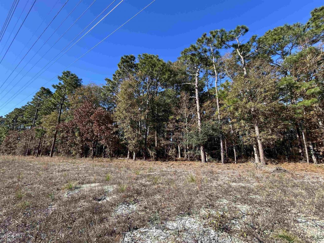 8000 Ocean Highway Photo 32