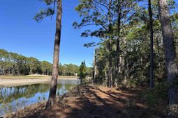 8000 Ocean Highway photo 4