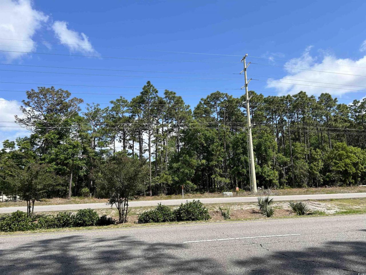 8000 Ocean Highway Photo 6