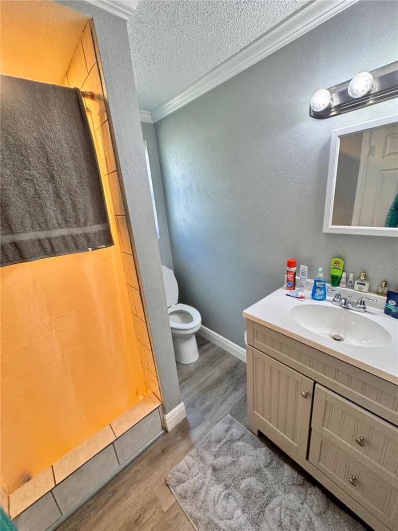 4233 Flora Avenue, Holiday, FL 34691 Photo