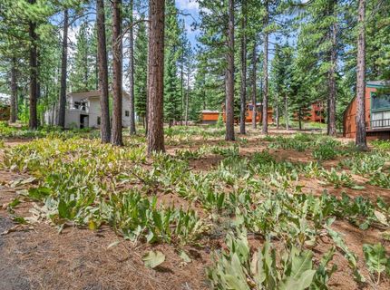 139 Basque, Truckee, CA 96161 Photo