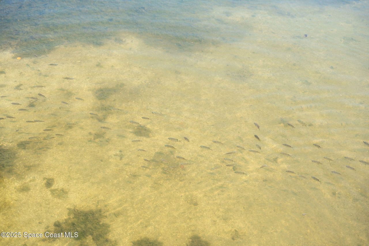 3745 Indian River Drive, Cocoa, FL 32926 Photo