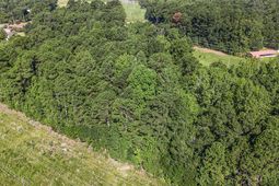 120 Nazareth Lane Lane photo 4