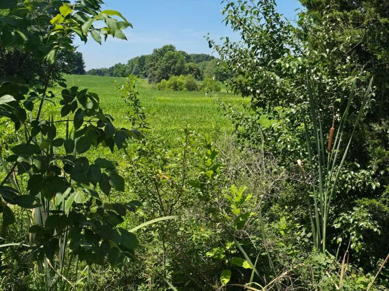 0 Tschopp Road NE, Unit Lot 17, Lancaster, OH 43130 Photo 3