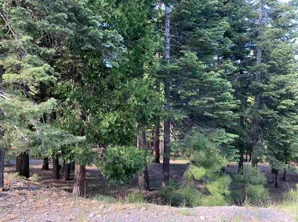 203 Top Of The West Drive, Lake Almanor, CA 96020 Photo