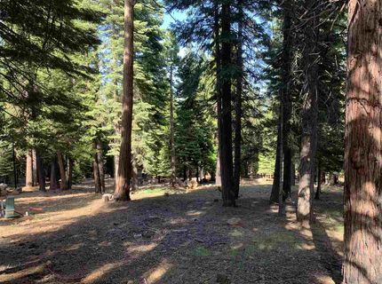 203 Top Of The West Drive, Lake Almanor, CA 96020 Photo