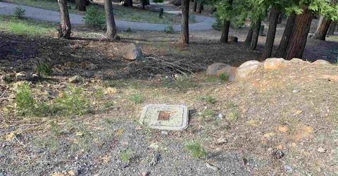 203 Top Of The West Drive, Lake Almanor, CA 96020 Photo