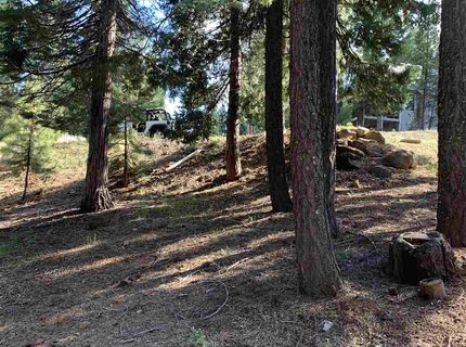 203 Top Of The West Drive, Lake Almanor, CA 96020 Photo